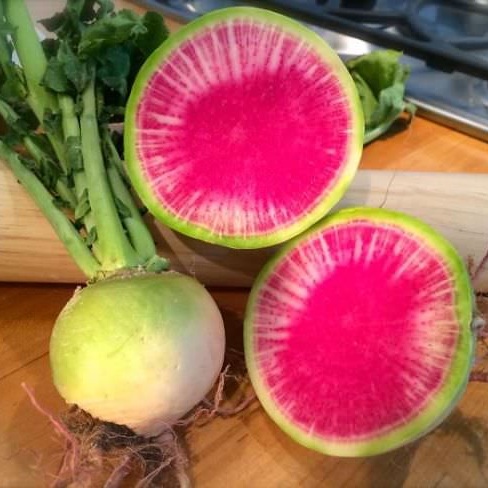 Sementes de Rabanete Melancia (Raphanus sativus)