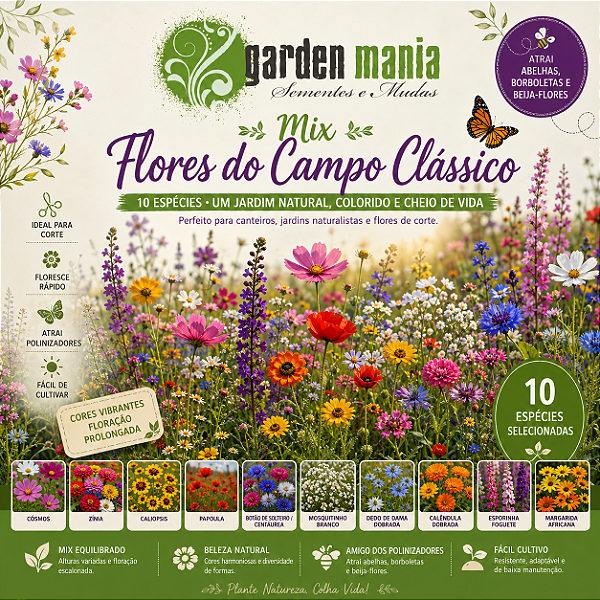 Mix 1000 Sementes de Flores do Campo - 10 Variedades Diferentes - Cobre até 20m² - Sementes Misturadas