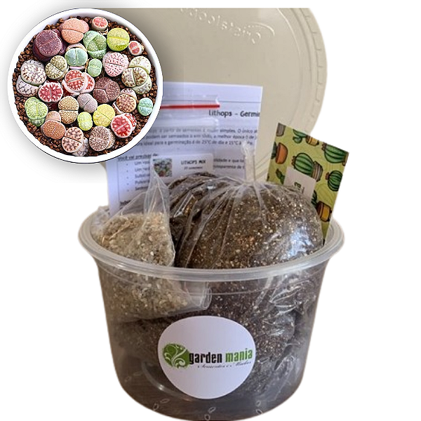 Kit para cultivo de Lithops Mix Pedras Vivas: 50 Sementes + Substrato + Pote + Manual