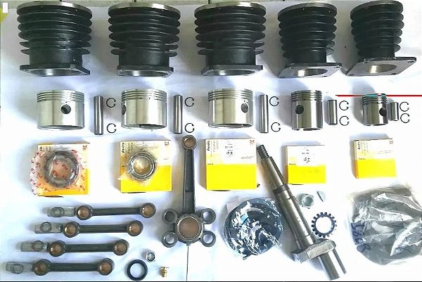 Kit Reparo Compressor Wayne W900 60 Pés