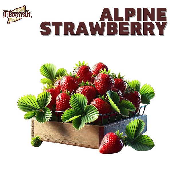 Aroma de Alpine Strawberry | FLV