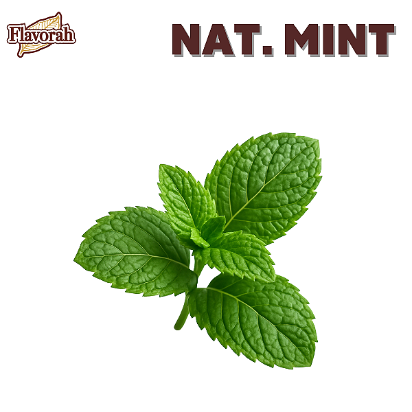 Aroma de Nat. Mint | FLV