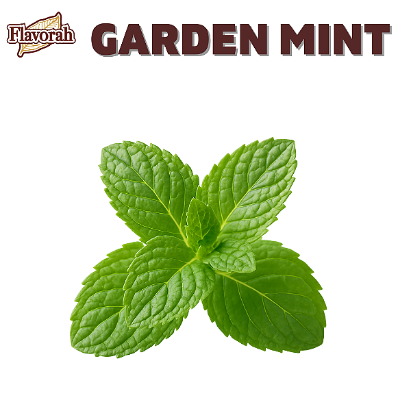 Aroma de Garden Mint | FLV