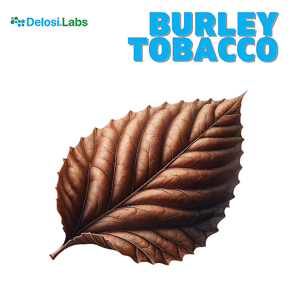 Aroma de Burley | DEL