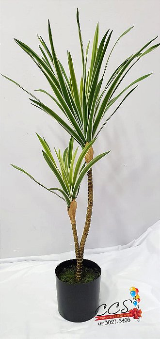 Planta Artificial Dracena com Pote 73cm - 2 Hastes - Real Toque - Grillo -  CCS Decorações