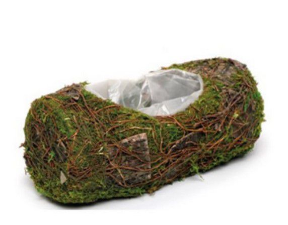 Cachepot Tronco de Musgo e Cipó 10x25x10cm - Coleção Rustic - Ref 1826034 Cromus