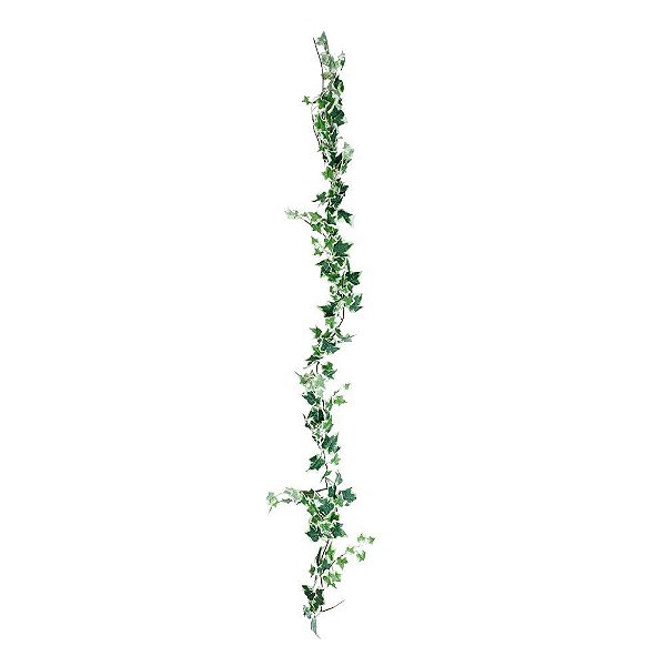 Galho Longo Folhas Eras Verde com Branco 2Mts - Flores e Galhos Permanetes - Ref 1015988 Cromus