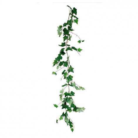 Galho Longo Folhas Verdes Tipo Uva 180cm - Galhos e Flores Permanentes - Ref 1015993 Cromus