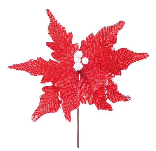 Flor de Natal Poisentia de Veludo Vermelha com Borda Branca - Flores Cabo Medio - Ref 1024980 Cromus