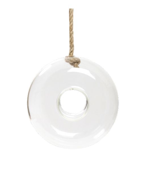 Vaso Aéreo Donut de Vidro Incolor 24x24x10cm com 1 Un - Ref 1821777 Cromus