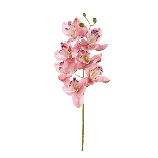 Haste Orquídea Rosa Cymbidium com 7 Flores 72cm - Ref 1062484 Cromus