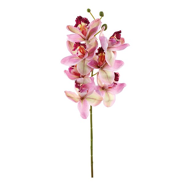 Haste Orquídea Rosa Forte Cymbidium com 7 Flores 72cm - Ref 1062486 Cromus