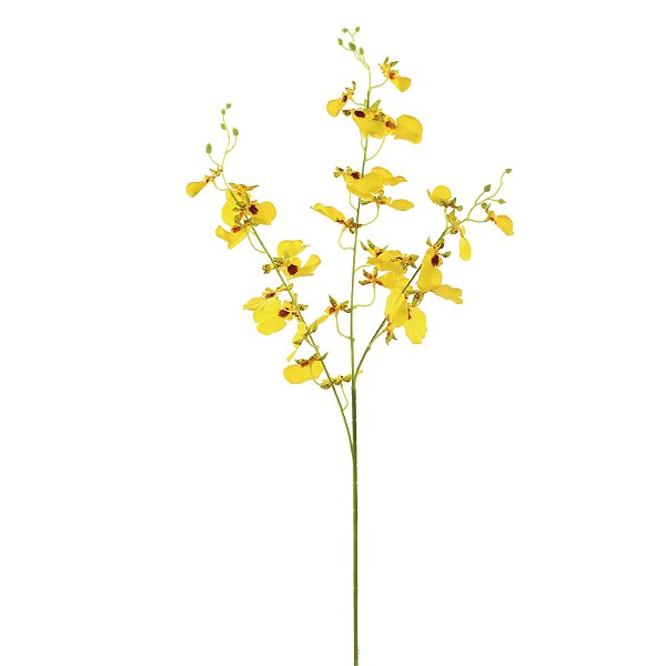 Haste Orquídea Chuva de Ouro 83cm - Ref 1063174 Cromus