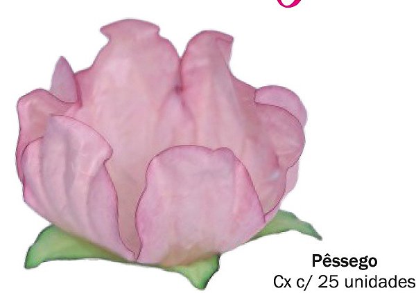Forminha Para Doces Formato Flor Stylo Pêssego 25 Un - Decora Doces