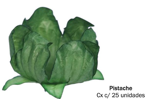 Forminha Para Doces Formato Flor Stylo Pistache 25 Un - Decora Doces