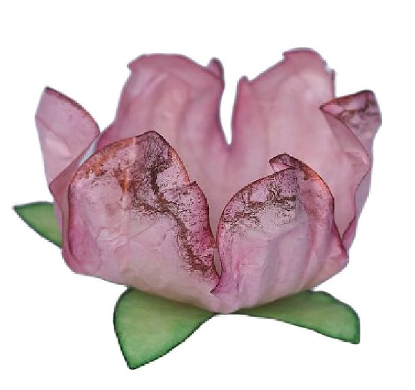 Forminha Para Doces Formato Flor Stylo Borda Rosê 25 Un - Decora Doces