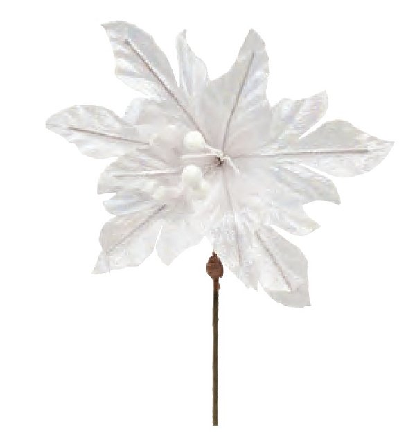 Flor de Natal Poisentia Furta Cor Branca 24cm - Ref 1058110 Cromus