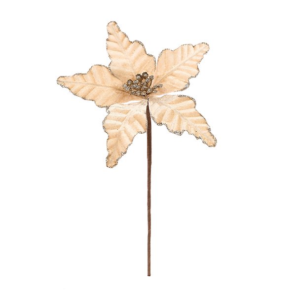 Flor de Natal Poisentia de Veludo Chá com Borda Glitter 18cm - Ref 1032922 Cromus