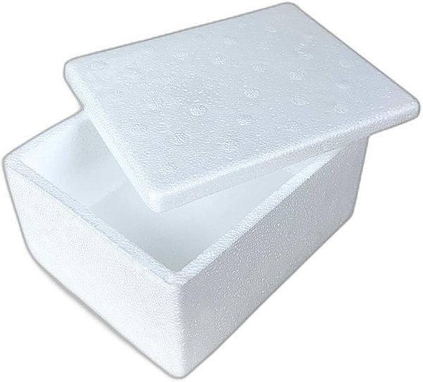 Caixa de Isopor Sorvete 250 Gramas 11x9.5x7.6cm com 1 Unidade - Styroform