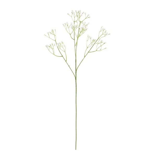 Haste Gipsofila Mosquitinho Branco 60cm - Ref 1086464 Cromus
