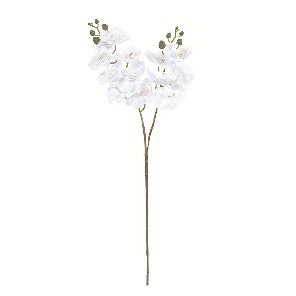 Haste Dupla de Orquídea Branca com 12 Flores 63cm - Ref 1086426 Cromus