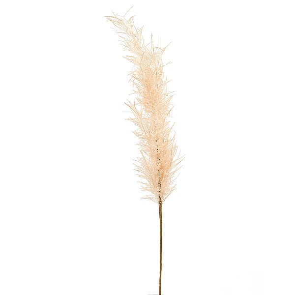 Galho Longo Capim dos Pampas Permanente Nevado Creme 96cm - Ref 1044547 Cromus