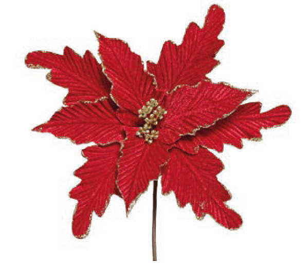 Flor de Natal Poisentia de Veludo Vermelho Borda Glitter Dourado 30x32cm - Ref 3100252 Cromus