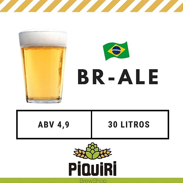 Kit receitas cerveja artesanal 30L BR ALE (Brazilian Ale)