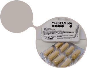 BIO4 YeaSTAMINA (nutriente para levedura) - 10 cápsulas