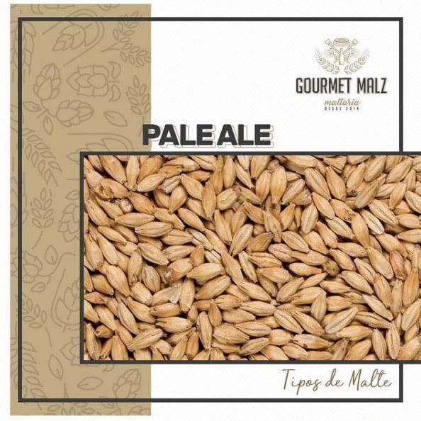 Malte Gourmet Malz Pale Ale - 100g