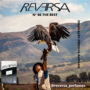 Reversa Nº 06 - The Best
