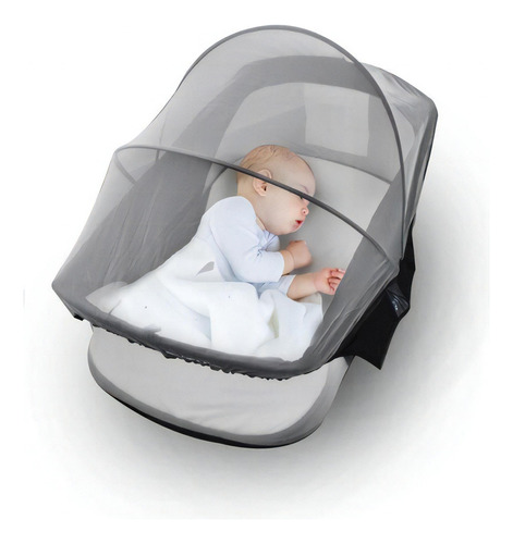 Berço carregável (Moises)