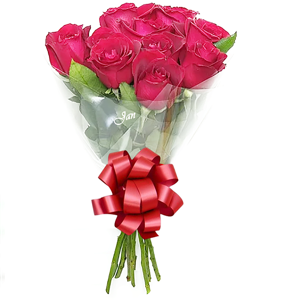A58 - Buquê Elegance com 12 rosas vermelhas