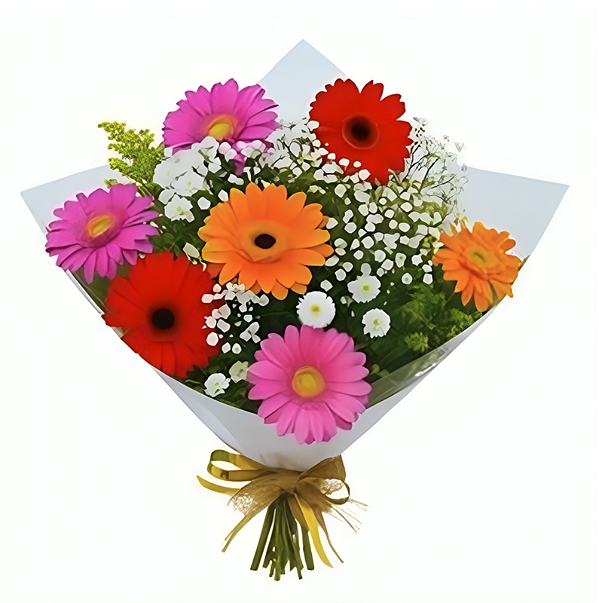 Buquê com 7 Gérberas coloridas s no celofane e laço