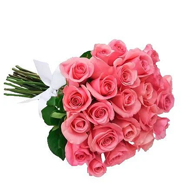 053 - Buquê com 20 rosas rosadas