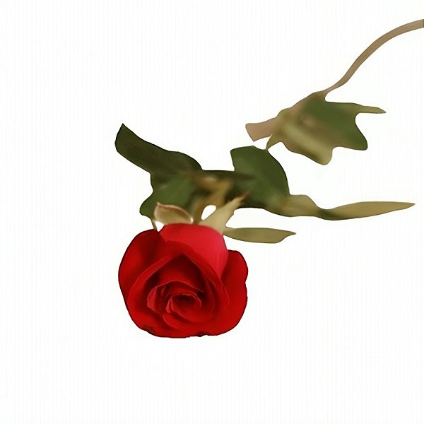 109 - Rosa vermelha unidade