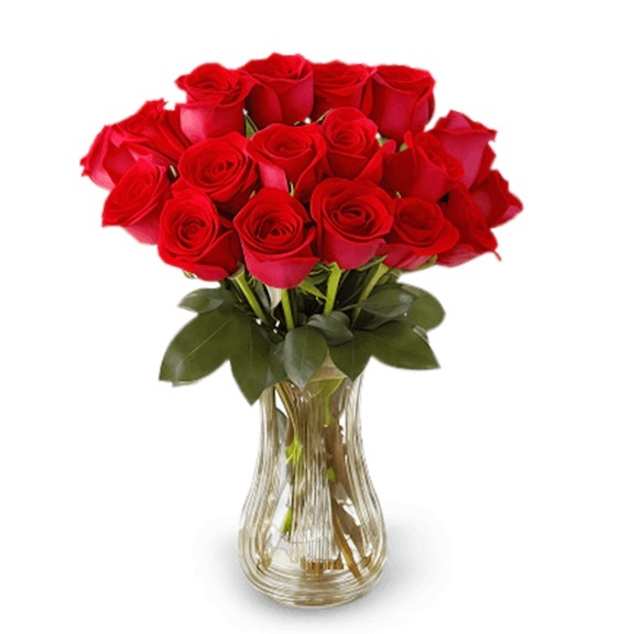 Jarro com 12 rosas vermelhas