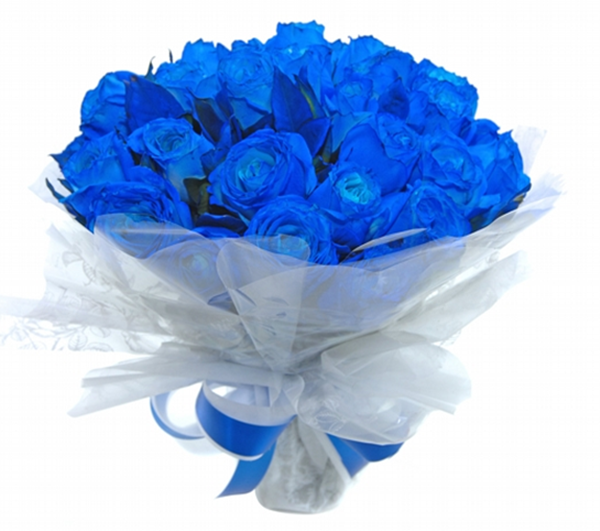 Buquê com 18 rosas azuis agrupadas no celofane e laço.