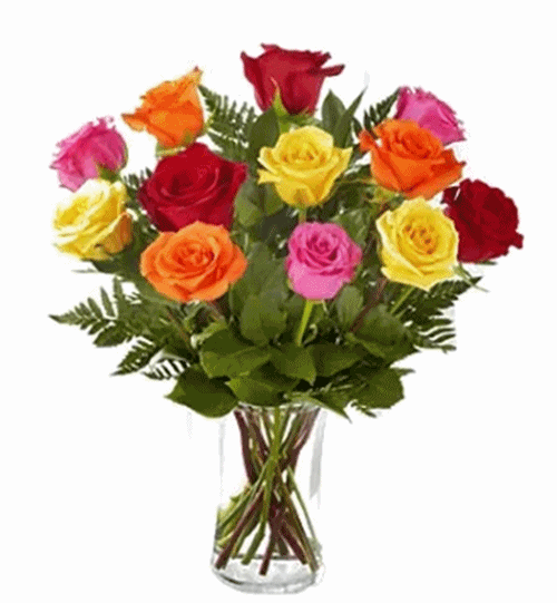 Jarro com 12 rosas coloridas
