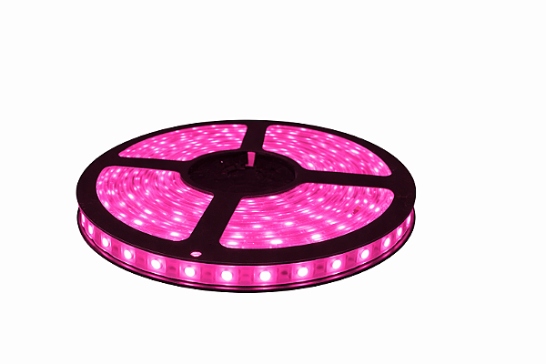 Fita LED 5 Metros 12v 5050 Rosa Pink Siliconada IP65 Prova D'água Sem Fonte