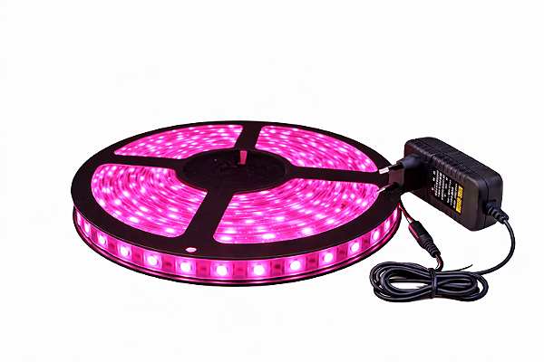 Fita LED 5 Metros 12v 5050 Rosa Pink Siliconada IP65 Prova D'água + Fonte