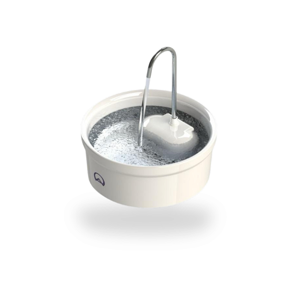 Fonte Bebedouro de Porcelana - Com Filtro