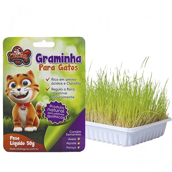 Graminha para Gatos 50g