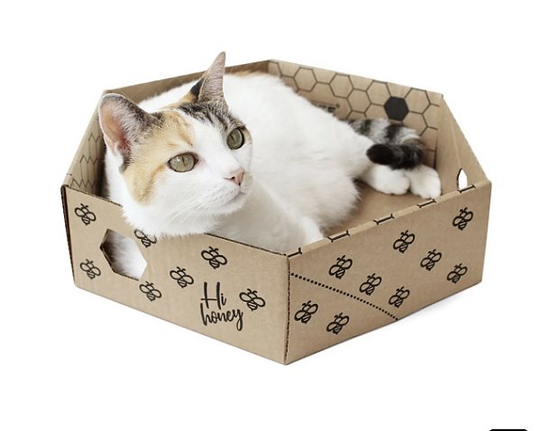 BEEBOX- CAIXA DE PAPELÃO KRAFT PARA GATOS