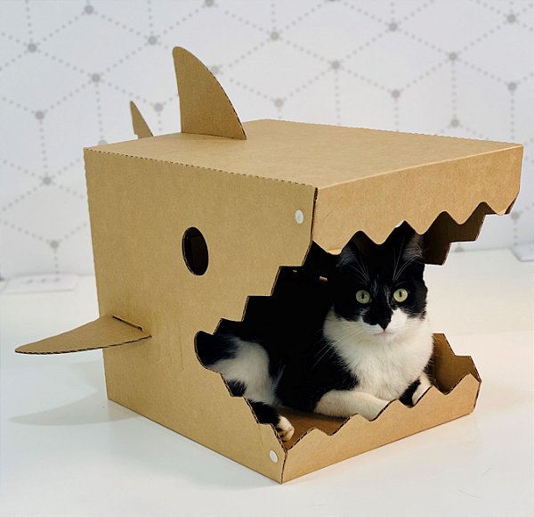 Cat Shark Papelão