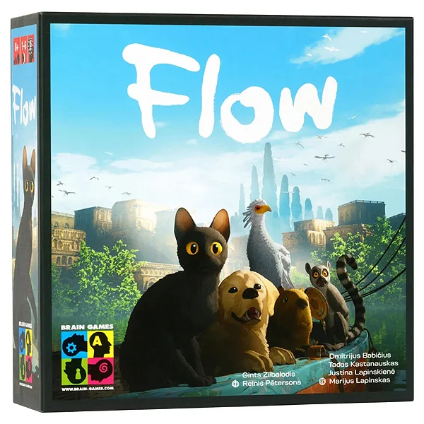 Flow Boardgame