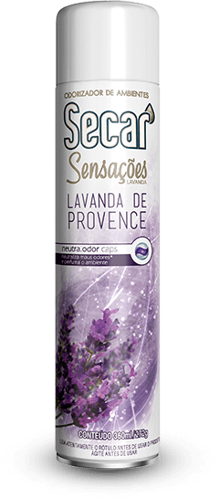 Odorizadores de Ambiente Secar Aerosol 360ml