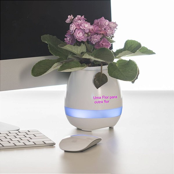 Vaso de planta musical com bluetooth e sensor de toque 2013