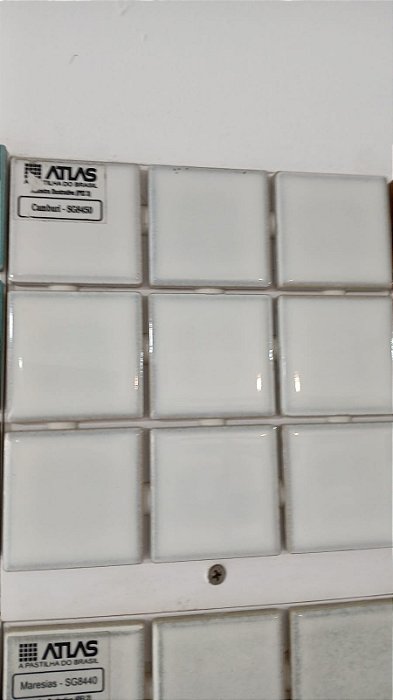 Pastilha de Porcelana 5x5 - Sg-8450 - Camburi