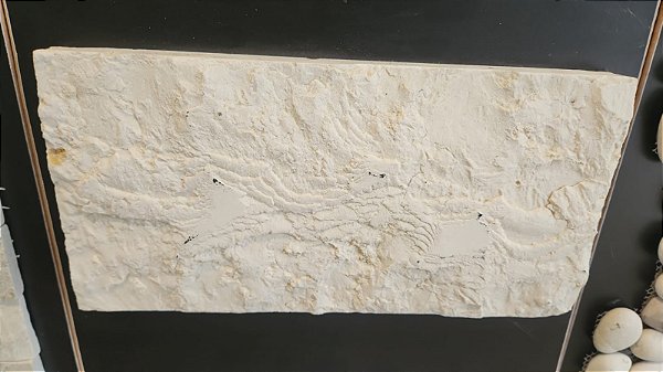 Crema Extra Rock Face 15x30cm - TGM11 - Glass Mosaic